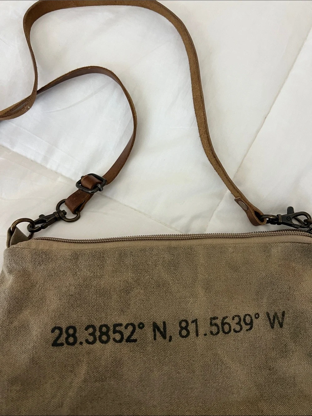 Sugarboo&Co. Disney Canvas and Leather Crossbody Bag in Tan and Brown